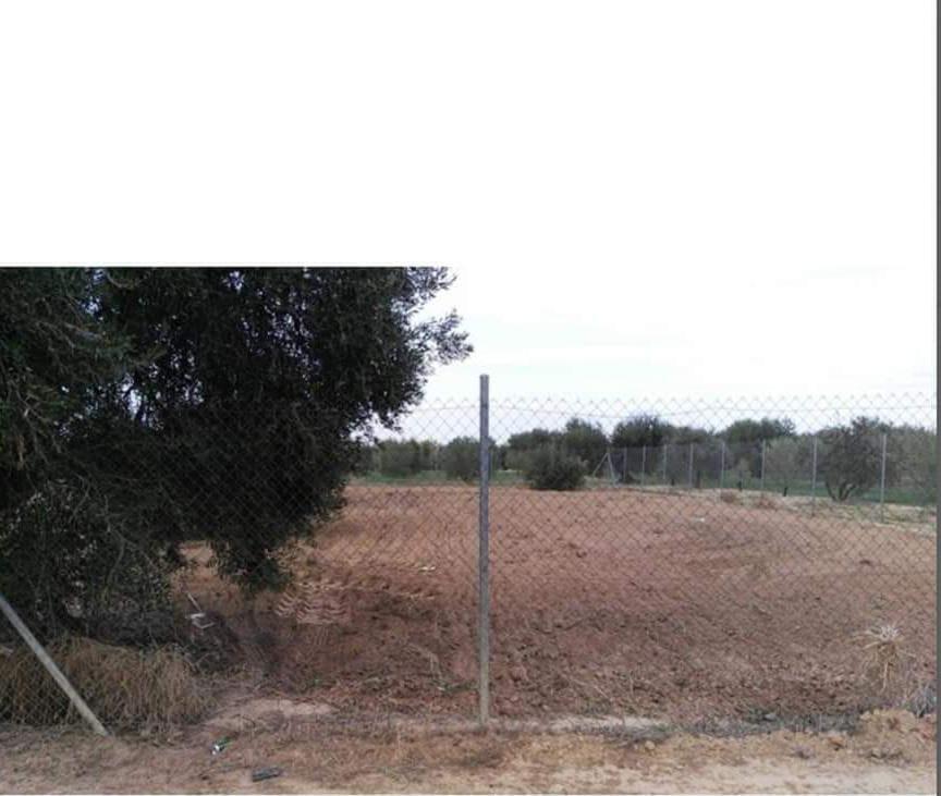 Land in Marchena for sale Building Photo- Image 1 of 6