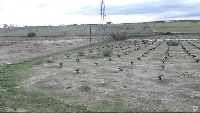 Land in Navalcarnero, MAD for sale Primary Photo- Image 1 of 5