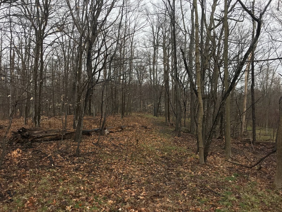 PETTIBONE Rd Richmond Rd., Glenwillow, OH 44139