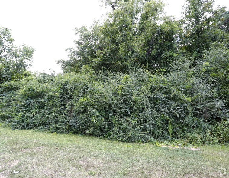 8282 Highway 52, Morven, NC for sale - Primary Photo - Image 1 of 1