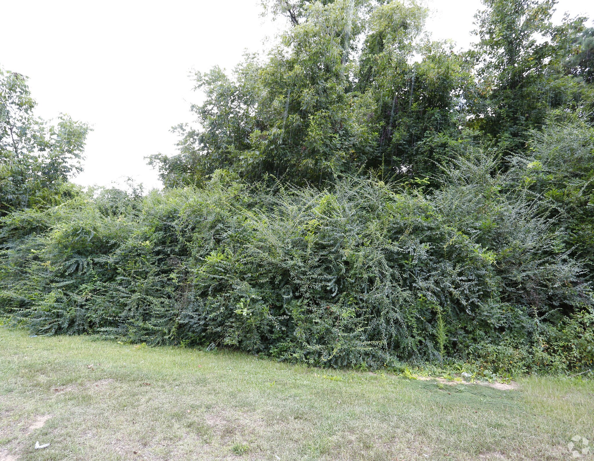 8282 Highway 52, Morven, NC for sale Primary Photo- Image 1 of 1