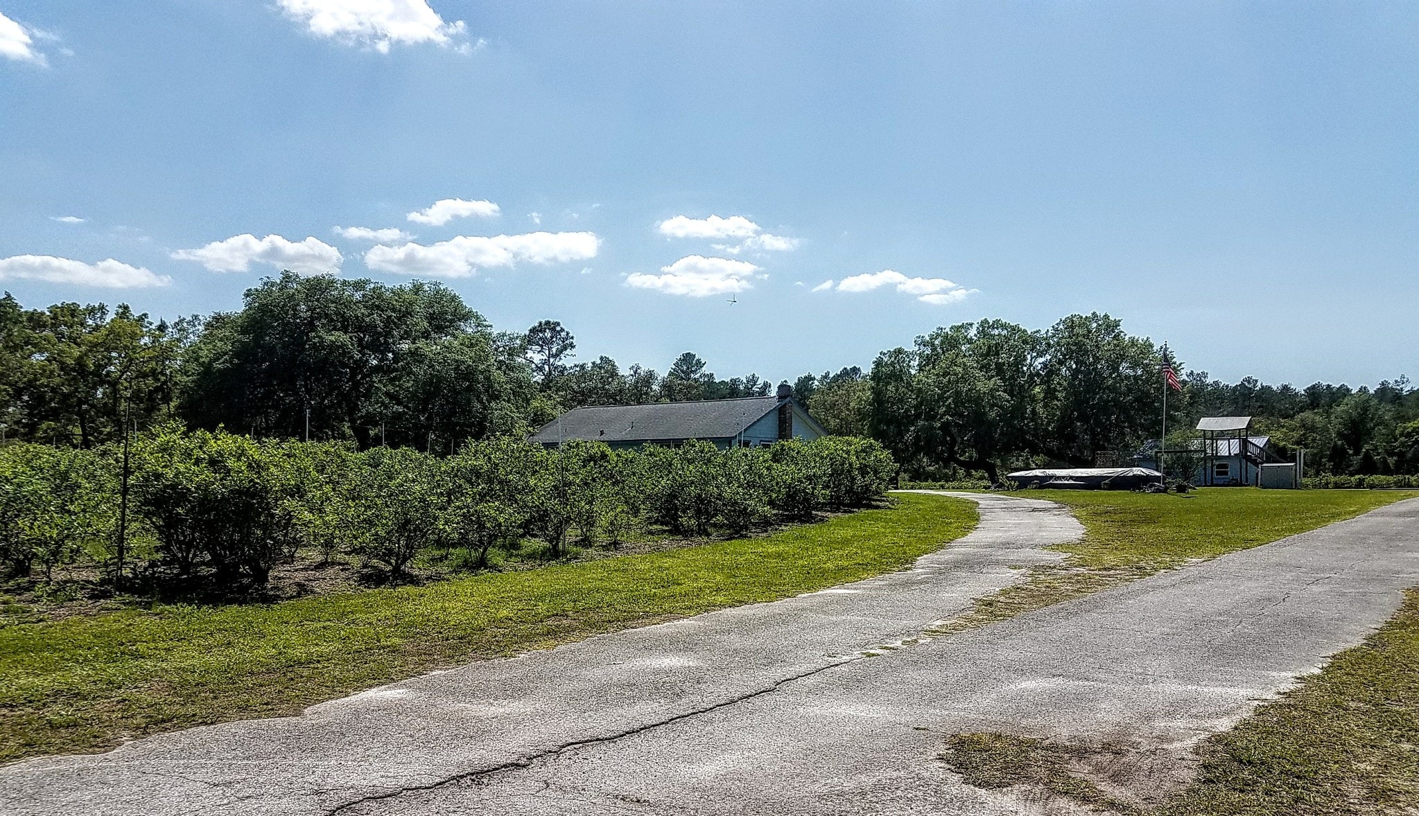 12839 Kitten Trl, Hudson, FL 34669 12839 kitten Trail