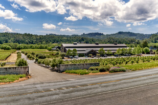 Dry Creek Valley -Winery & Estate Residence - Commercial Kitchen