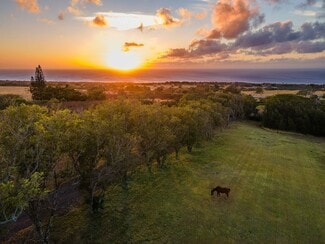 More details for 56-2864 Akone Pule Hwy, Hawi, HI - Land for Sale