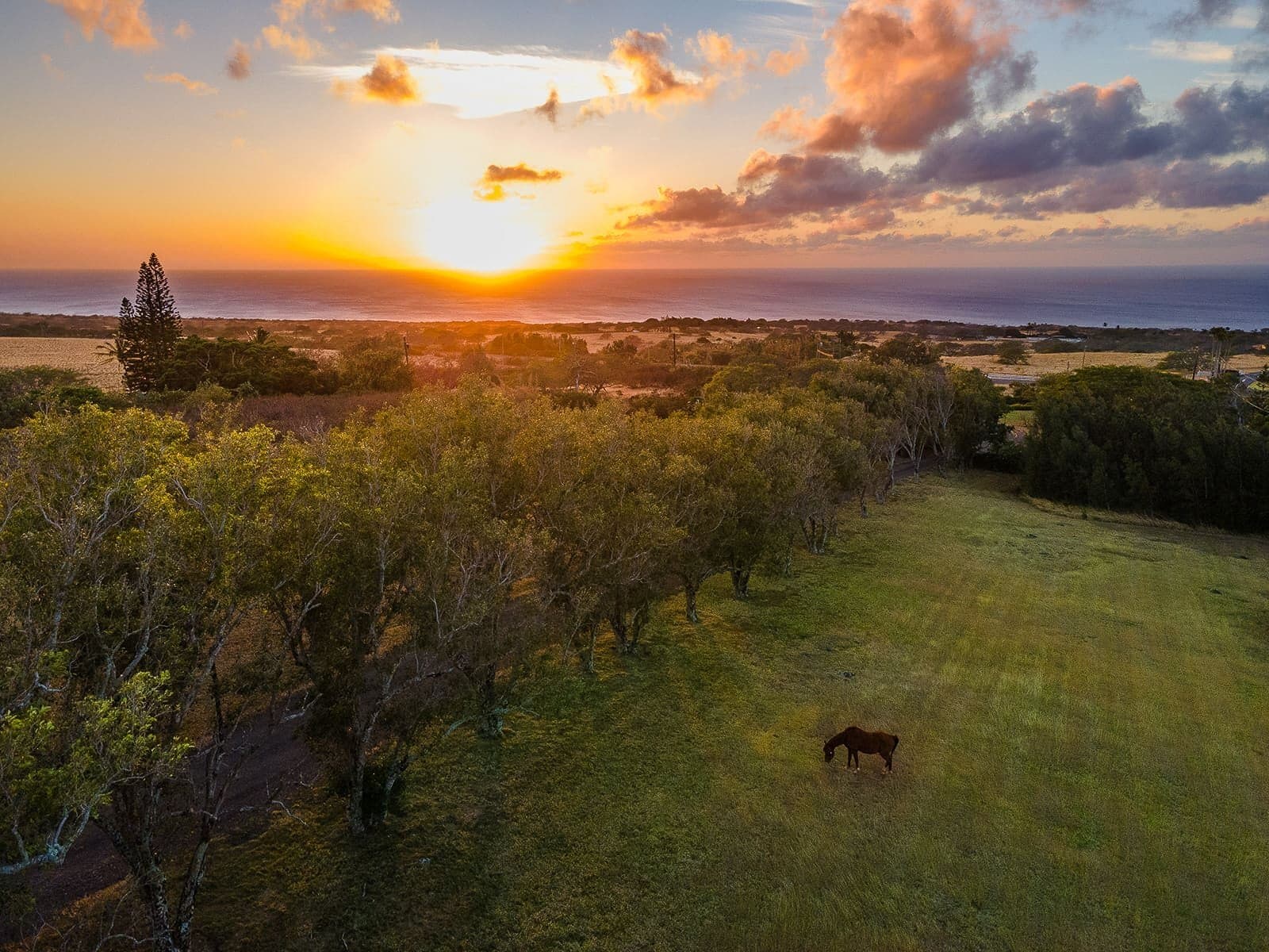 56-2864 Akone Pule Hwy, Hawi, HI for sale Primary Photo- Image 1 of 11