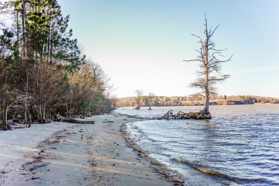 709 Olde Towne Rd, Surry, VA for sale Primary Photo- Image 1 of 1