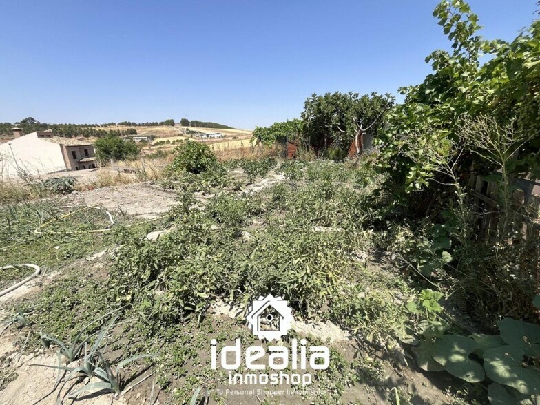 Calle Cuba, 18, Esquivias, Toledo for sale - Building Photo - Image 2 of 3