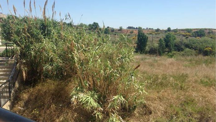 Land in Sant Sadurní d'Anoia, Barcelona for sale - Building Photo - Image 3 of 4