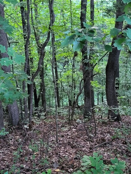 580 Meadow View Road, Bristol TN 37620, Bristol, TN for sale - Building Photo - Image 1 of 4