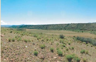 N Navajo Dr, Prescott Valley, AZ for sale Primary Photo- Image 1 of 1