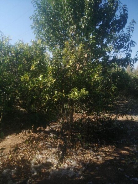 Land in Castelló de la Plana for sale - Building Photo - Image 2 of 3