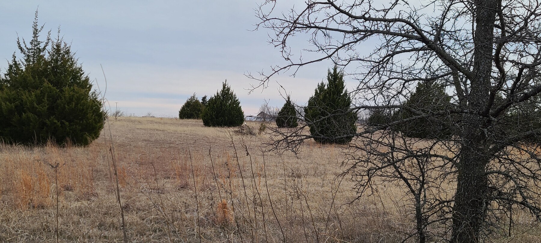 2845 View Rd, Sanger, TX 76266 8+/ acres Commercial/Raw Land