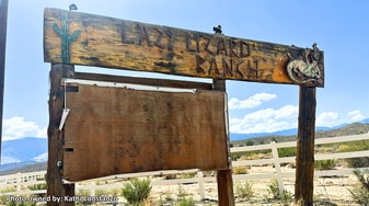 Lazy Lizard Ranch Resort - Pub