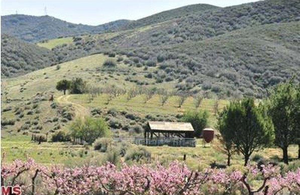 11212 Elizabeth Lake Rd, Leona Valley, CA for sale - Primary Photo - Image 1 of 1