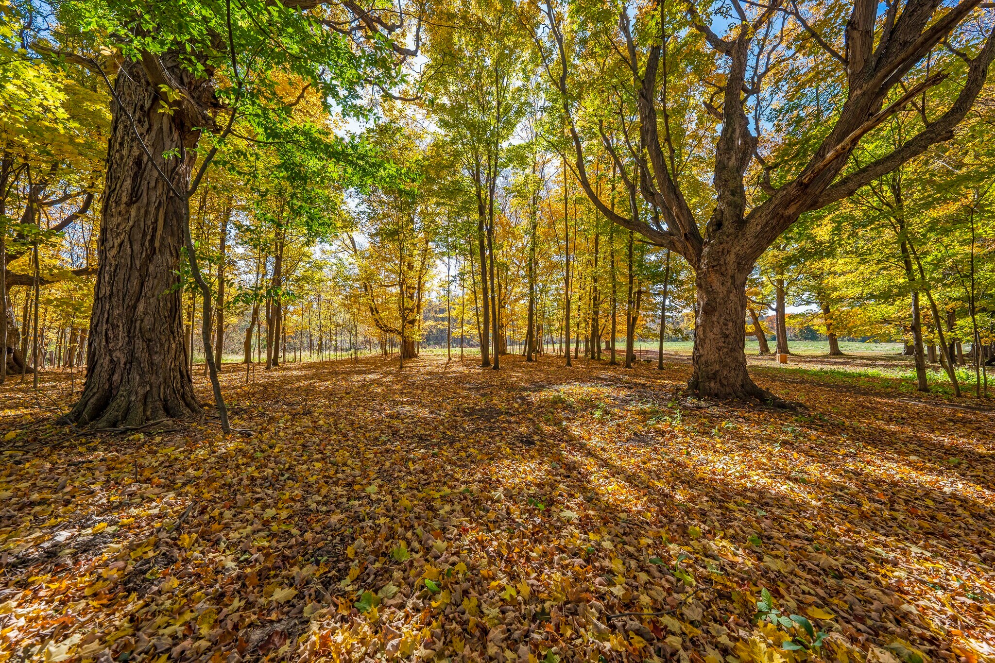 4044 Corners Rd, Holley, NY 14470