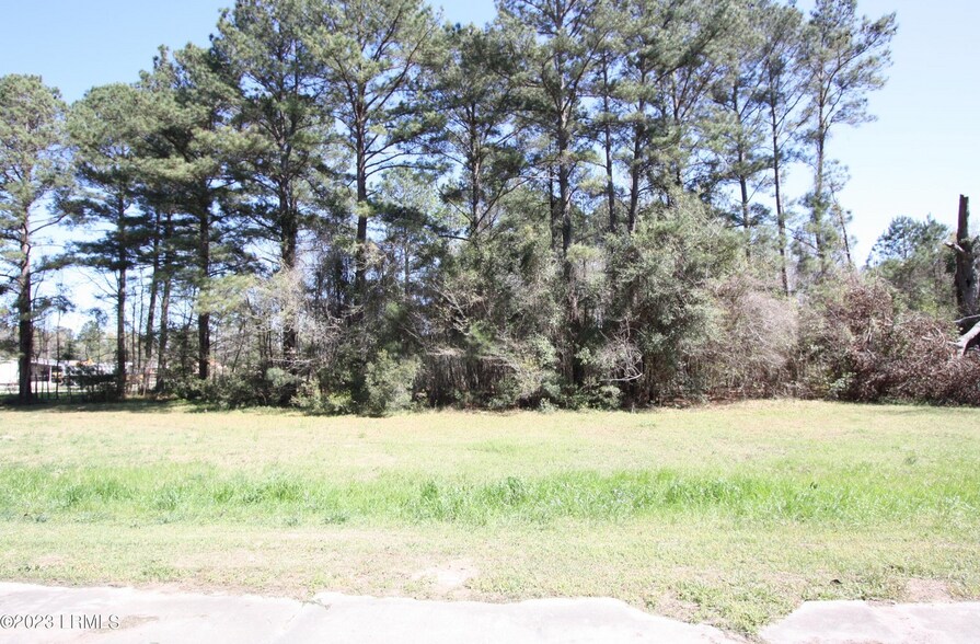 00 Columbia Hwy, Estill, SC 29918 Land for Sale