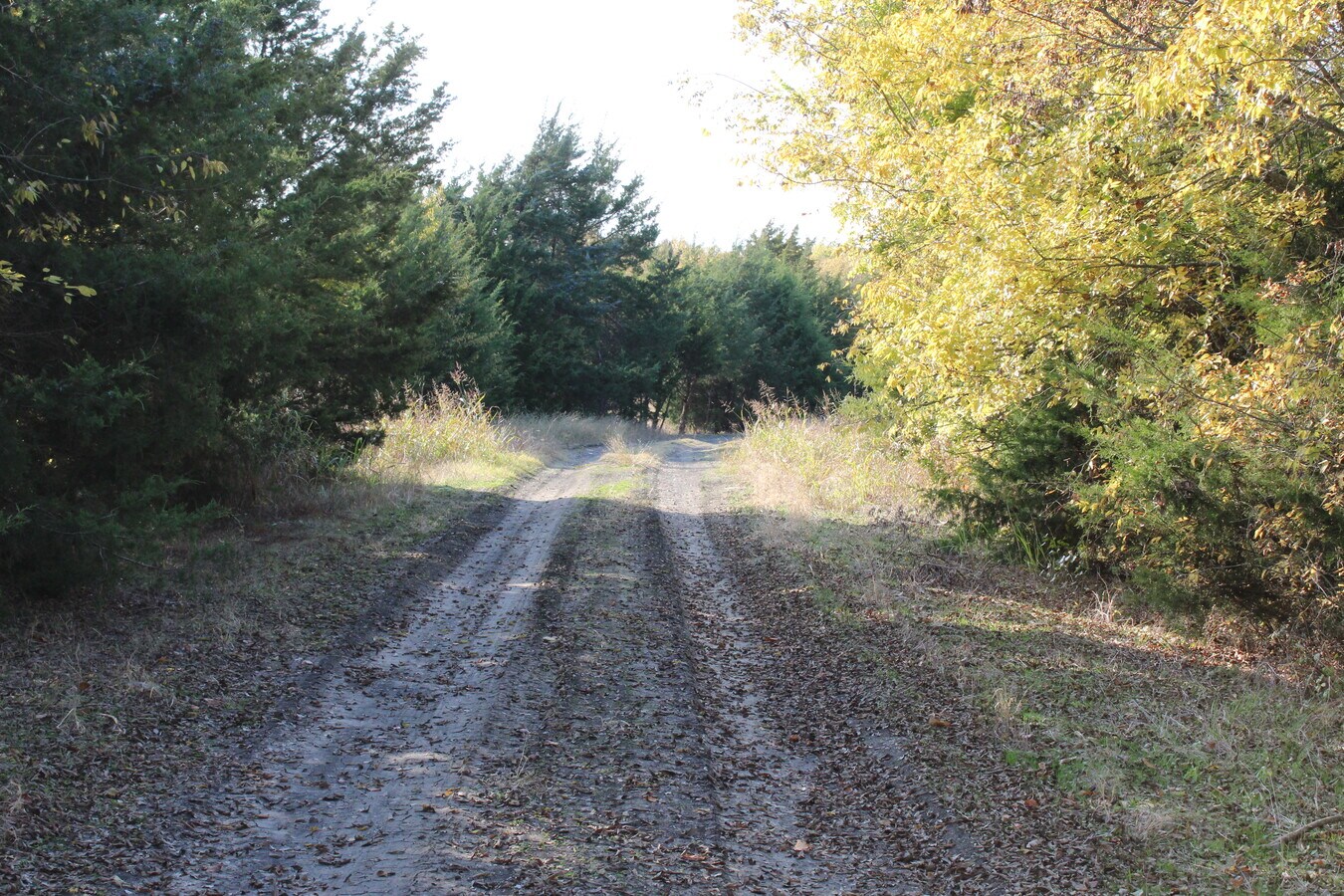 Fm 904, Pecan Gap, TX 75469