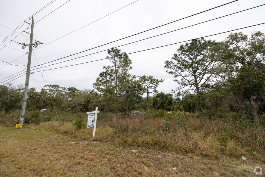 US#1 Hwy, Mims, FL for sale - Primary Photo - Image 1 of 1