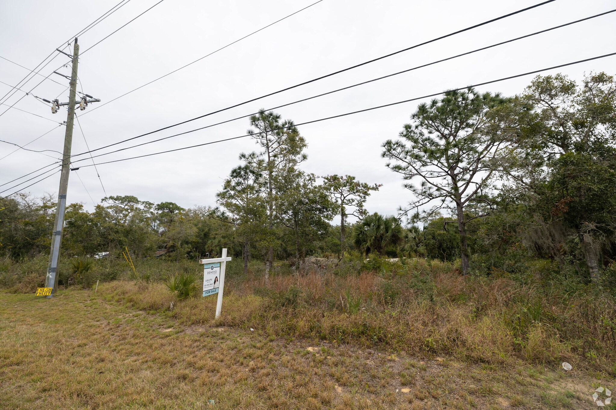 US#1 Hwy, Mims, FL for sale Primary Photo- Image 1 of 1