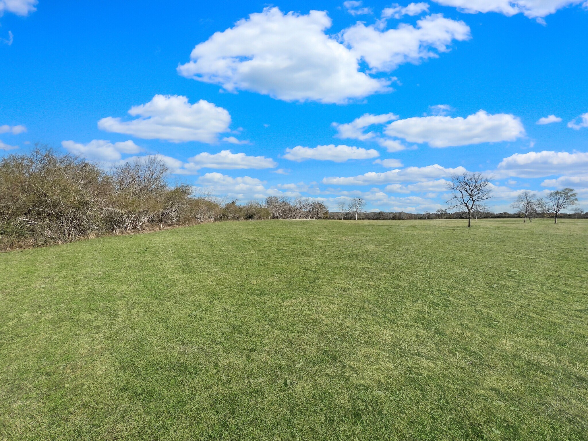 0 Esar Rd, Sealy, TX for sale Other- Image 1 of 1