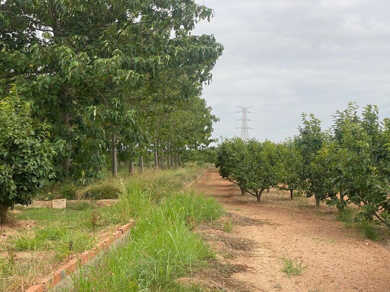 Land in València for sale - Building Photo - Image 3 of 10
