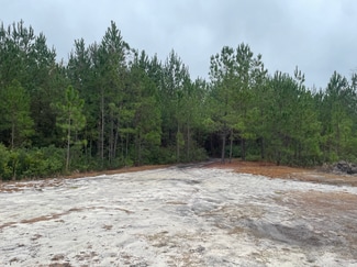 More details for 193 Osteen Rd, Pembroke, GA - Land for Sale