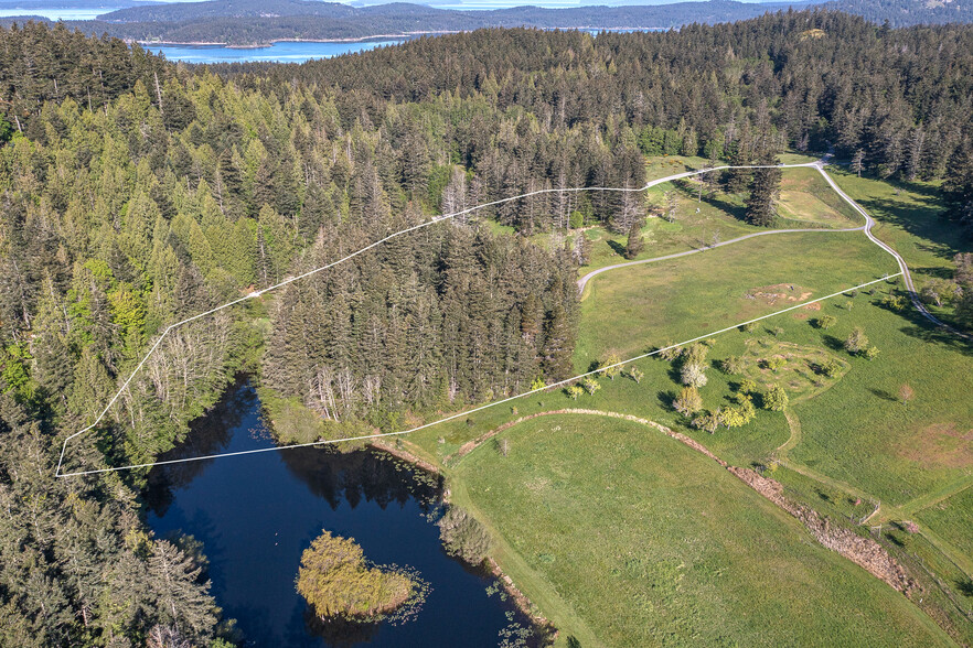 883 Victorian Valley Dr, Orcas, WA for sale - Aerial - Image 1 of 16