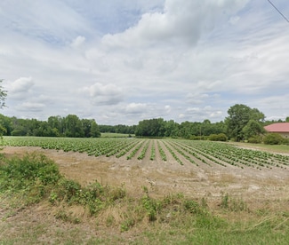 More details for 1000 Wagstaff Rd, Fuquay Varina, NC - Land for Sale