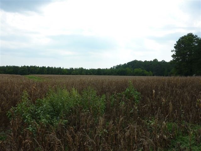 State Rd. 1008 & Harper House Rd, Four Oaks, NC for sale Building Photo- Image 1 of 1