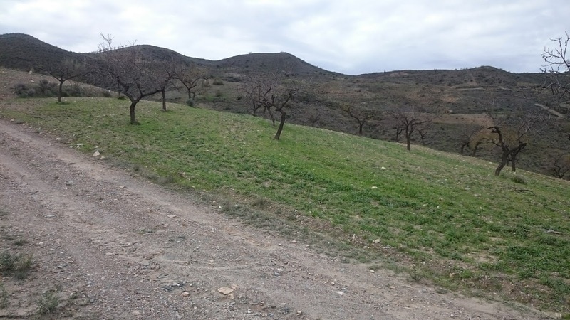 Land in Cantoria for sale - Building Photo - Image 2 of 3