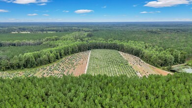 2437 GA Highway 121, Glennville, GA - aerial  map view - Image1