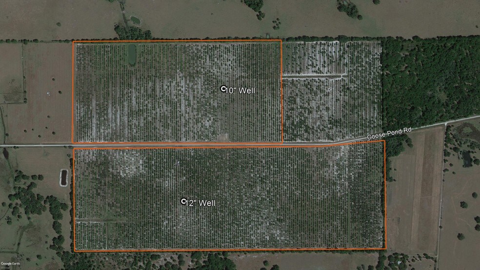 Goose Pond Rd, Ona, FL for sale - Aerial - Image 1 of 1