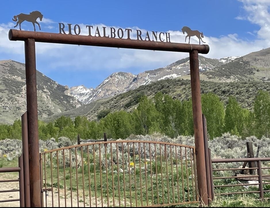 Talbot Creek Ln, Lamoille, NV for sale Primary Photo- Image 1 of 1