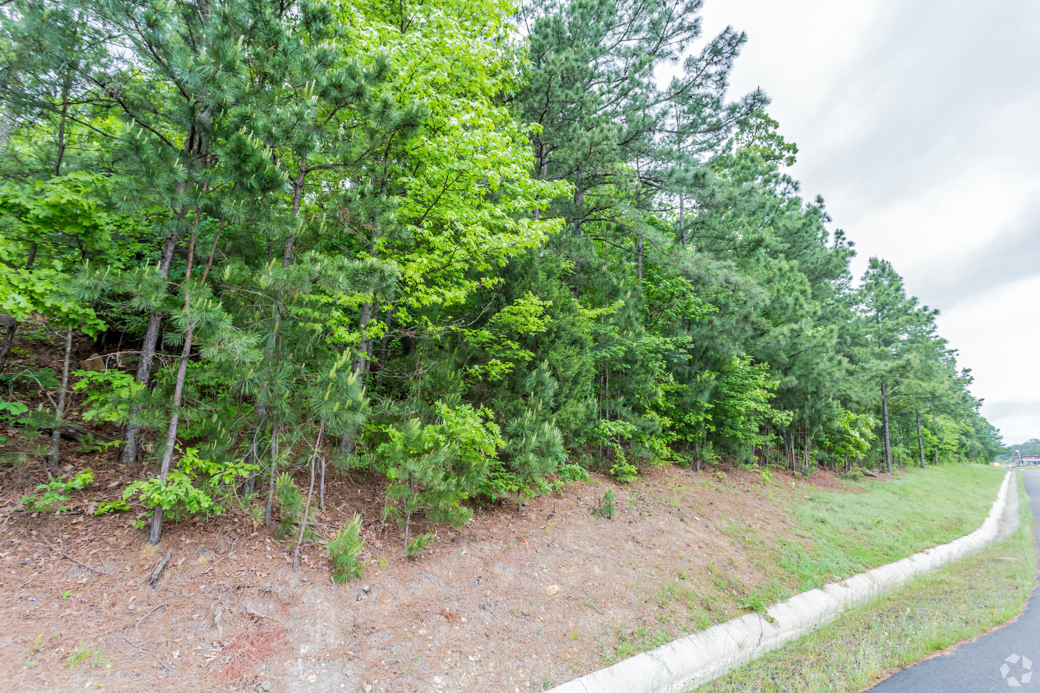 Maumelle Blvd, Maumelle, AR for sale Primary Photo- Image 1 of 1