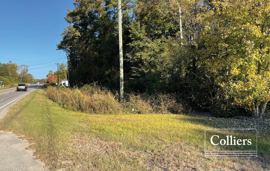 4900 Bluff Rd, Columbia, SC 29209 Land for Sale