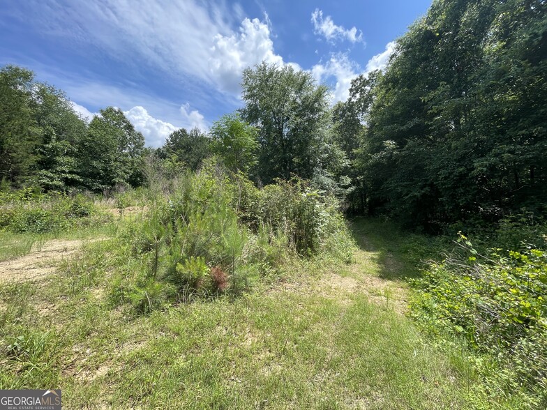 0 Fallen Branch Circle Southeast, Rome, GA for sale - Interior Photo - Image 2 of 39