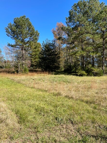 173 Mill Creek Ln, Mc Cormick, SC for sale - Other - Image 3 of 18