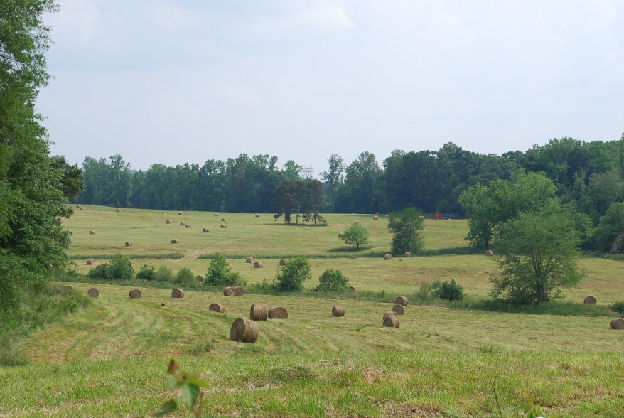 Ga Highway 63, Carnesville, GA for sale - Primary Photo - Image 1 of 1