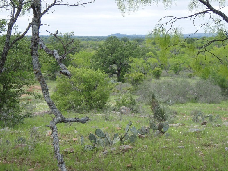 Scheerbaum Platz, Castell, TX 78643