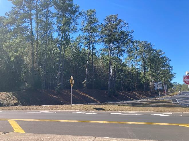 0 Reid Stafford Road East, Glen Saint Mary, FL for sale - Building Photo - Image 2 of 11