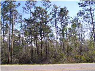 Glover Ln, Milton, FL for sale - Primary Photo - Image 1 of 1