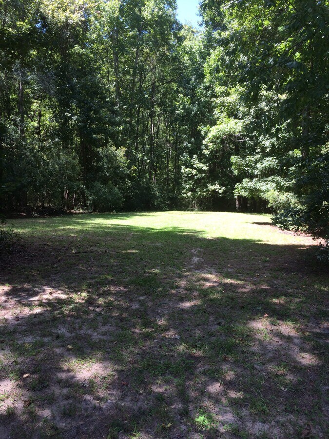 0 Haney Branch Rd, Ridgeville, SC 29483