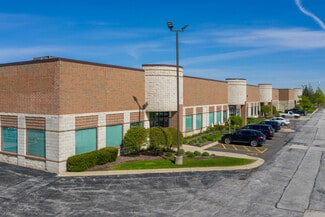 More details for 8201 W 183rd St, Tinley Park, IL - Flex for Lease