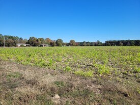 2614 Buffalo Rd, Smithfield NC - Land