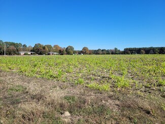 More details for 2614 Buffalo Rd, Smithfield, NC - Land for Sale
