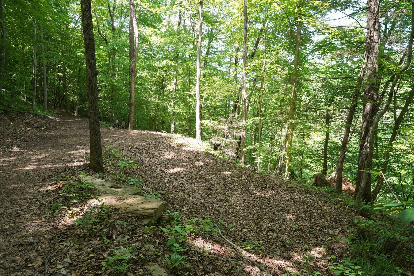 View Photo