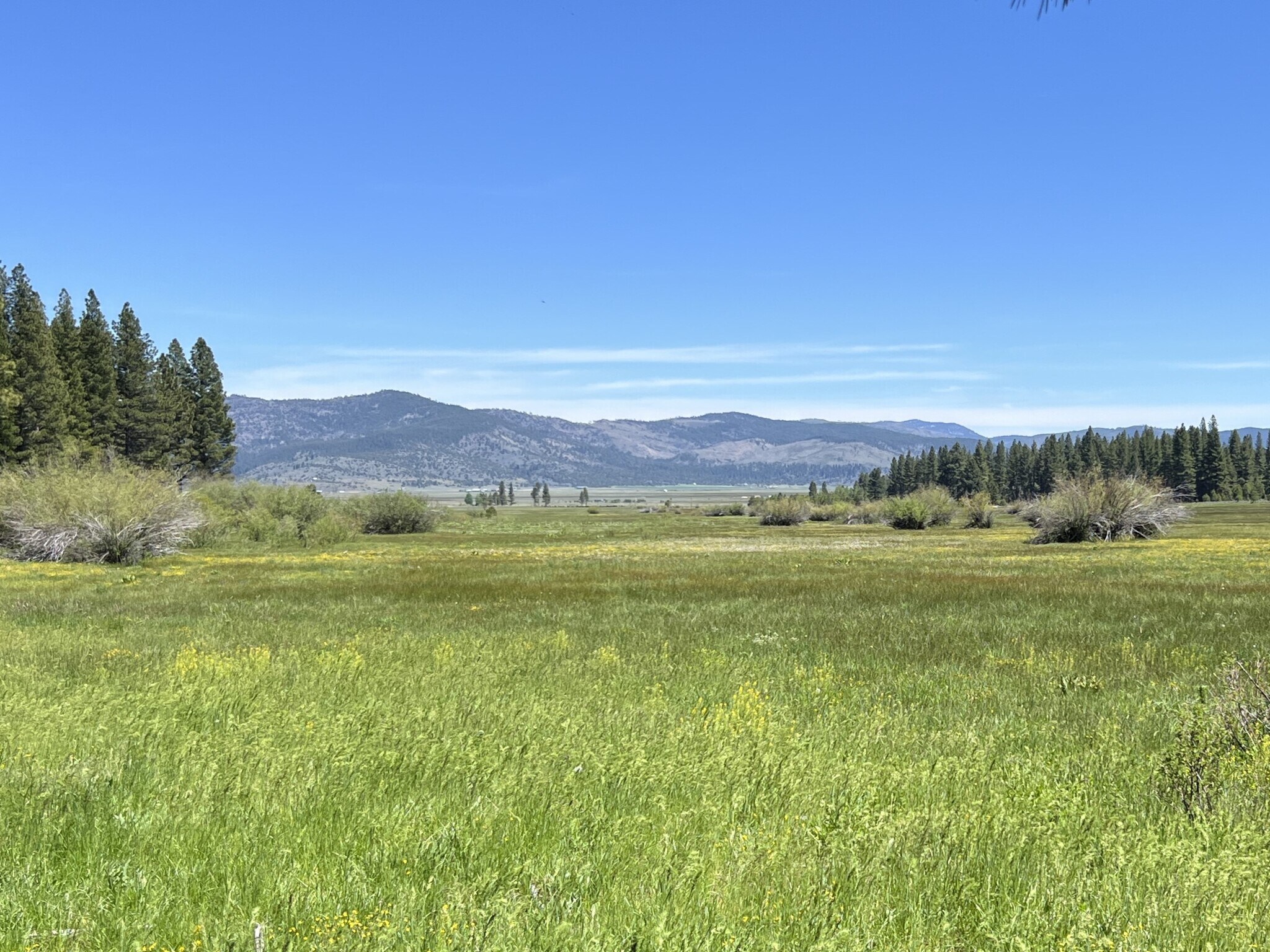 300 Meadow Ranch Rd, Calpine, CA for sale Primary Photo- Image 1 of 1
