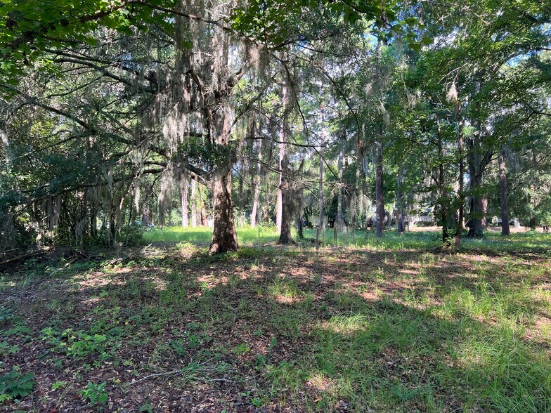 Wall Street, Pawleys Island, SC for sale - Building Photo - Image 3 of 9