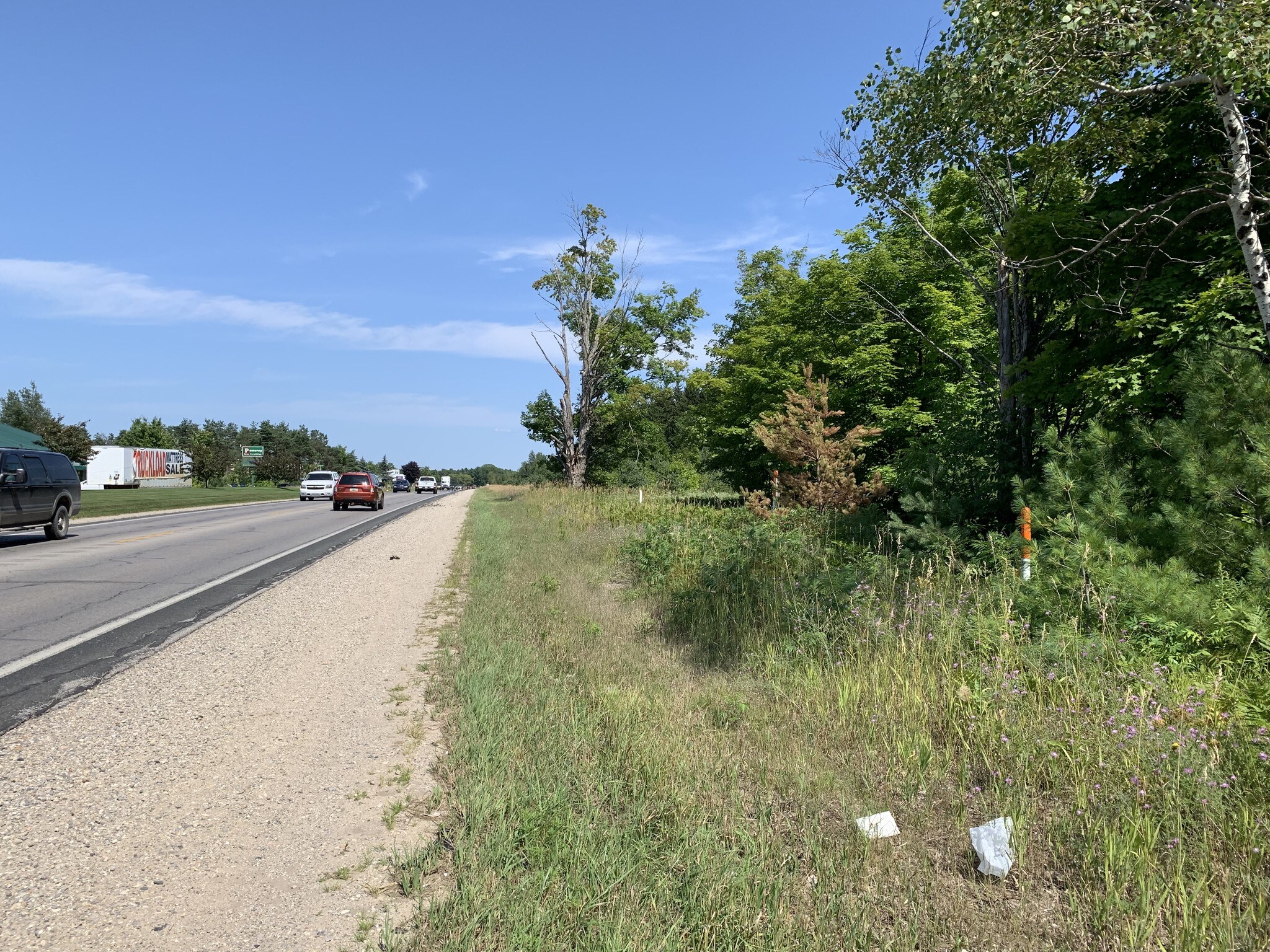 7015 US Highway 31, Grawn, MI 49637 Land for Sale