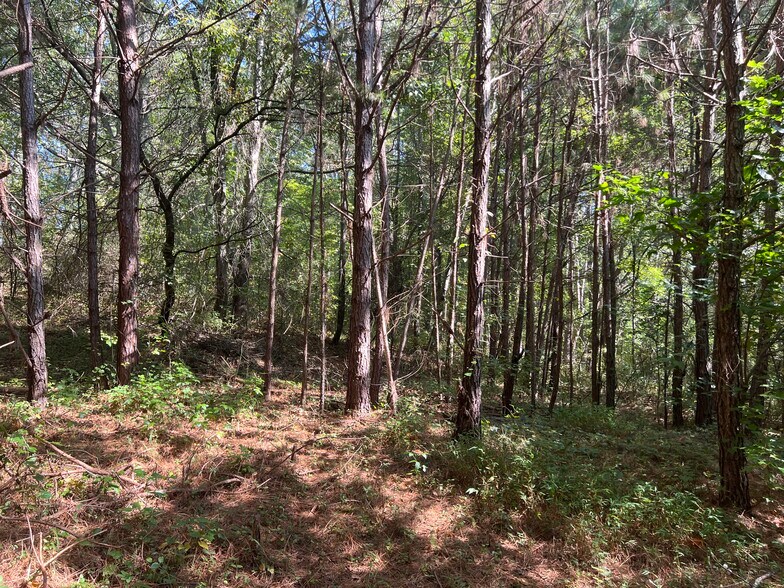 124 S Kelley St, Tallapoosa, GA for sale - Other - Image 2 of 9